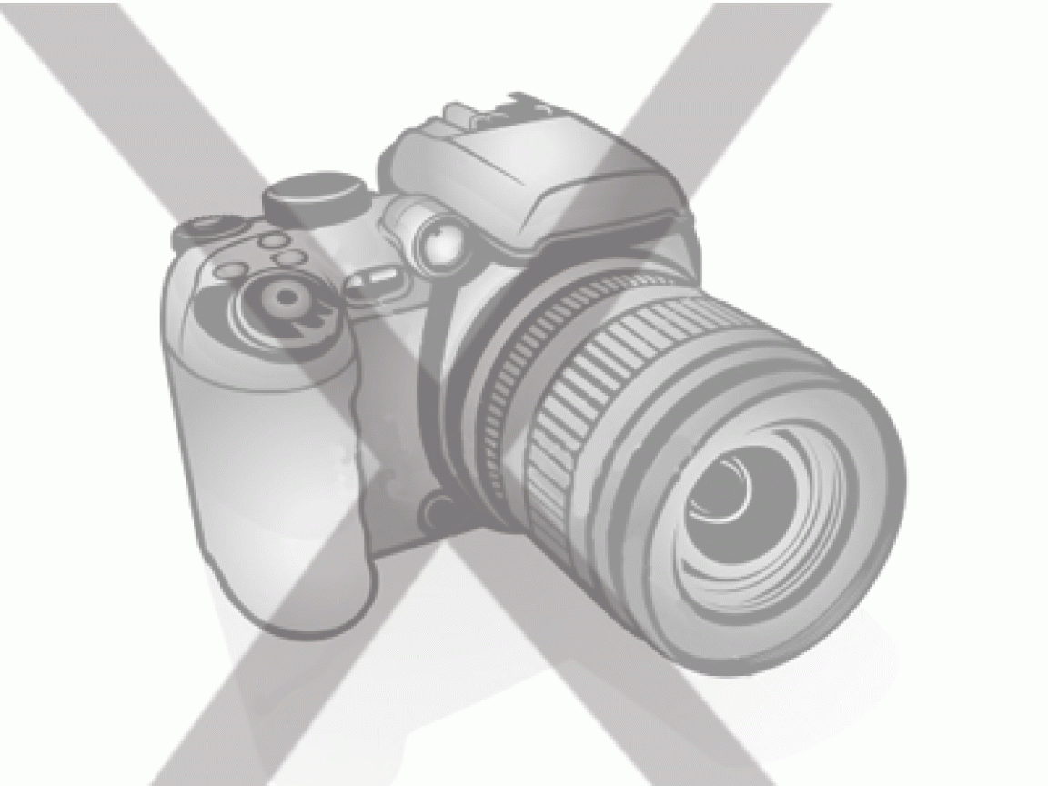 Steel front bumper guard for Dacia Duster